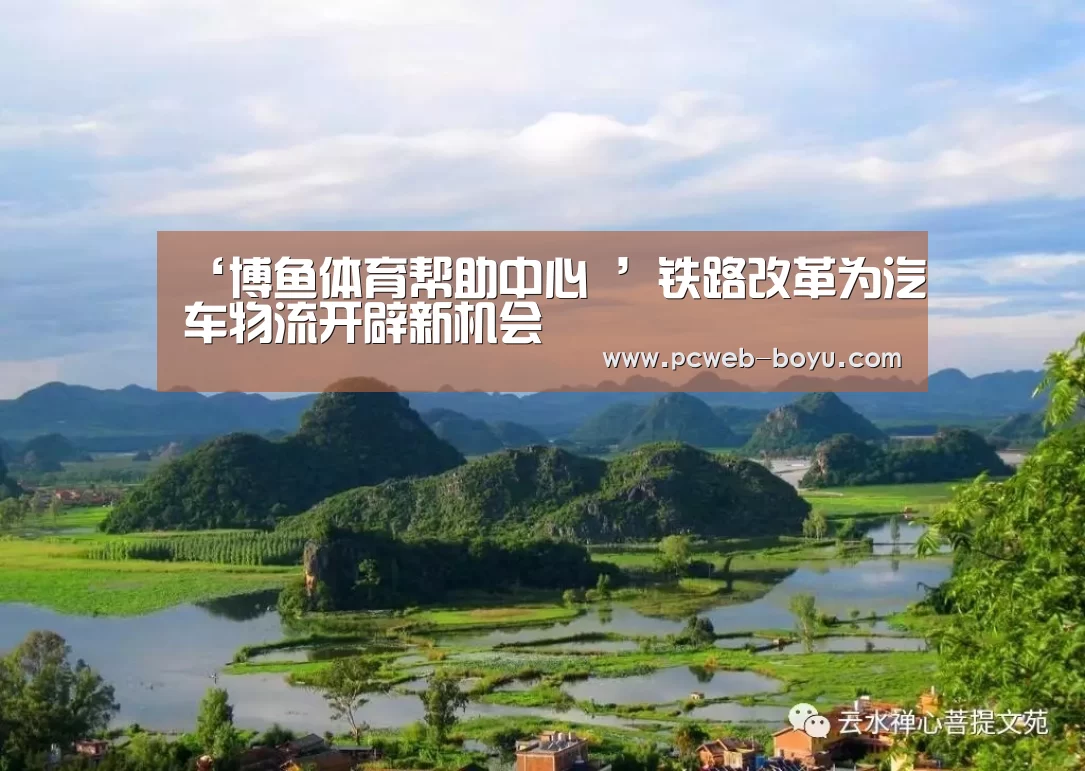 ‘博鱼体育帮助中心 ’铁路改革为汽车物流开辟新机会(图3) 博鱼体育帮助中心