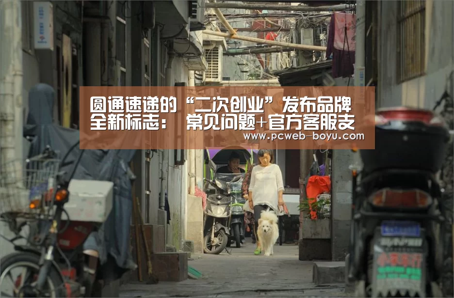  常见问题+官方客服支持