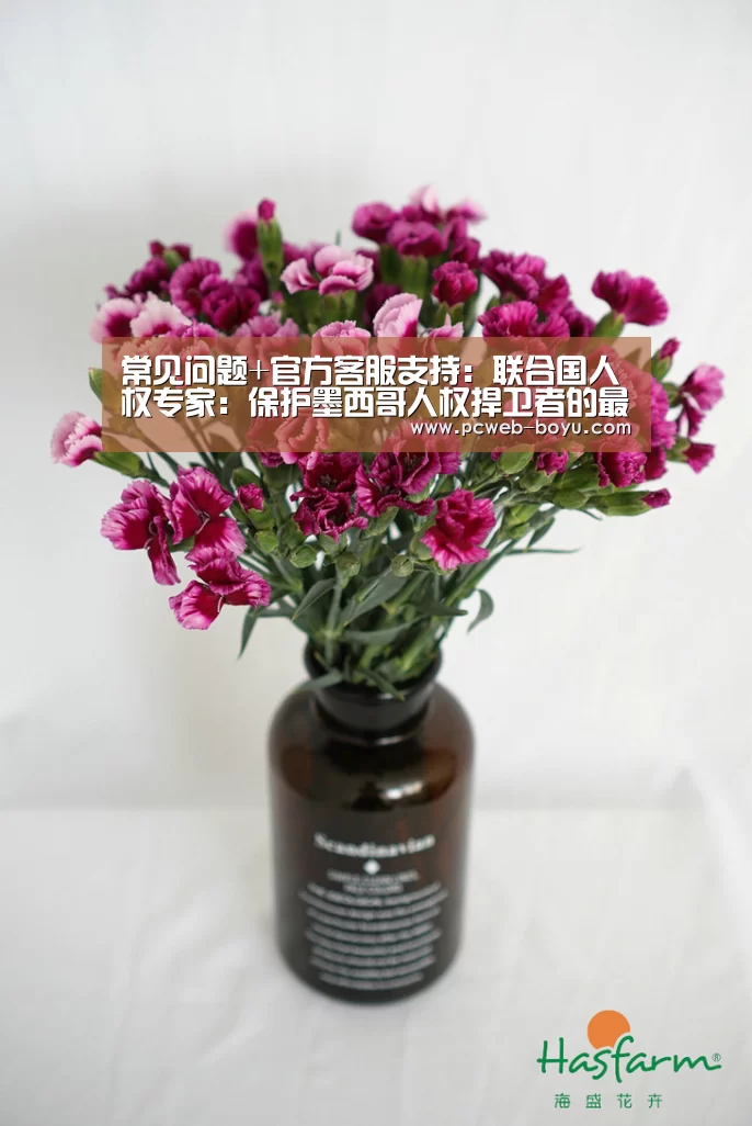 常见问题+官方客服支持:联合国人权专家:保护墨西哥人权捍卫者的最好办法是打击有罪不罚(图2) 常见问题+官方客服支持