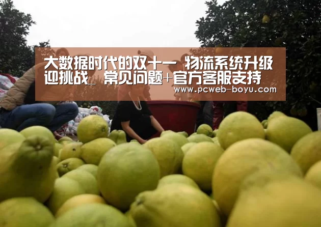 大数据时代的双十一 物流系统升级迎挑战_ 常见问题+官方客服支持(图2) 博鱼体育帮助中心
