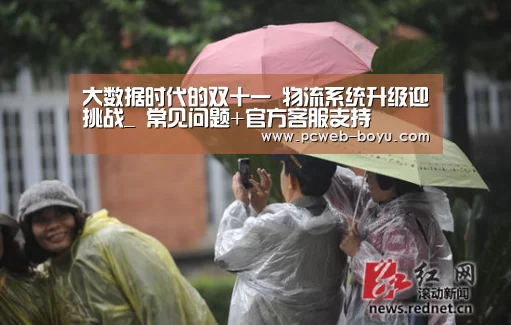 大数据时代的双十一 物流系统升级迎挑战_ 常见问题+官方客服支持(图3) 常见问题+官方客服支持