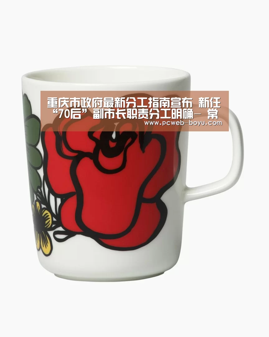 重庆市政府最新分工指南宣布 新任“70后”副市长职责分工明确- 常见问题+官方客服支持(图1) 常见问题+官方客服支持
