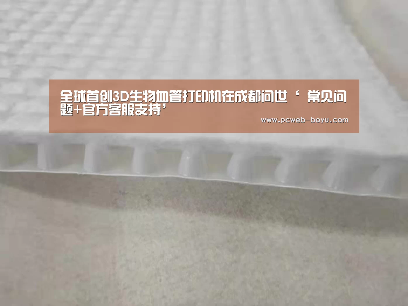 全球首创3D生物血管打印机在成都问世‘ 常见问题+官方客服支持’(图1) 常见问题+官方客服支持
