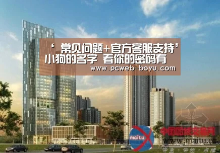 ‘ 常见问题+官方客服支持’小狗的名字 看你的密码有多脆弱(图2) 常见问题+官方客服支持