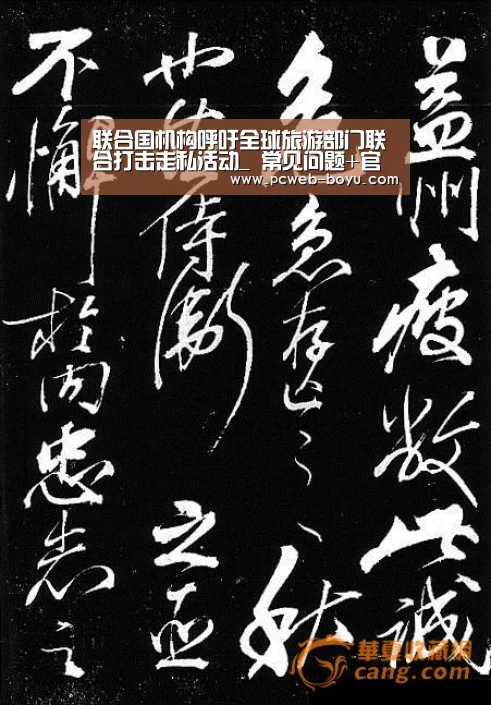 联合国机构呼吁全球旅游部门联合打击走私活动_ 常见问题+官方客服支持(图1) 博鱼体育帮助中心